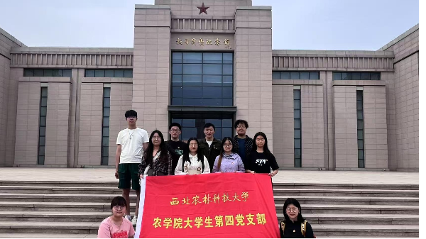 图片1_副本.png