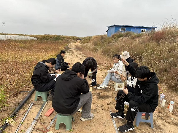 杂粮1.jpg