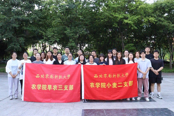 图一.jpg