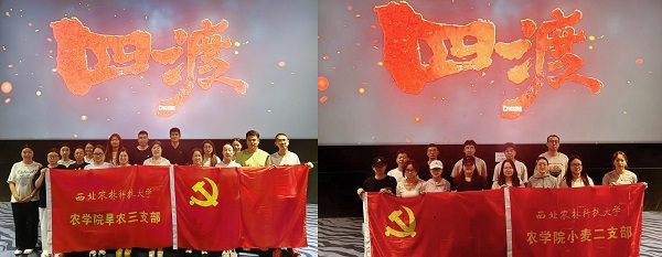 图片一.png