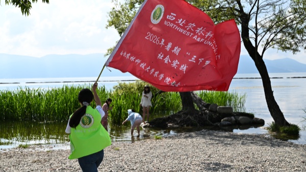图1 实践小队在古生村开展暑期社会实践_副本.jpg
